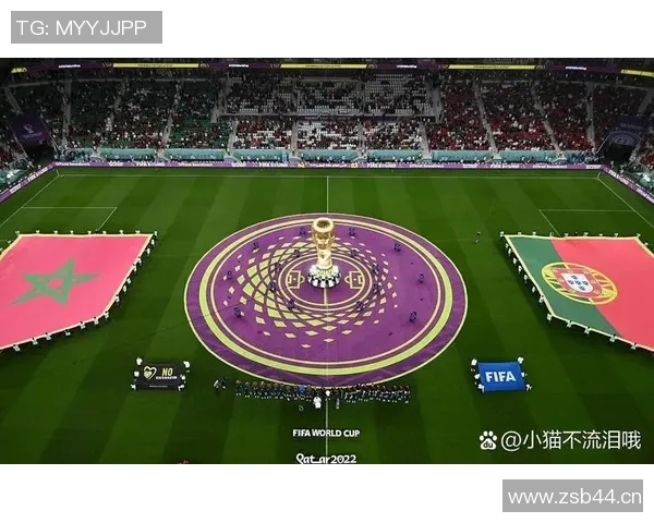 世界杯赛事盛况揭秘 球迷热情与竞技荣耀的完美交织