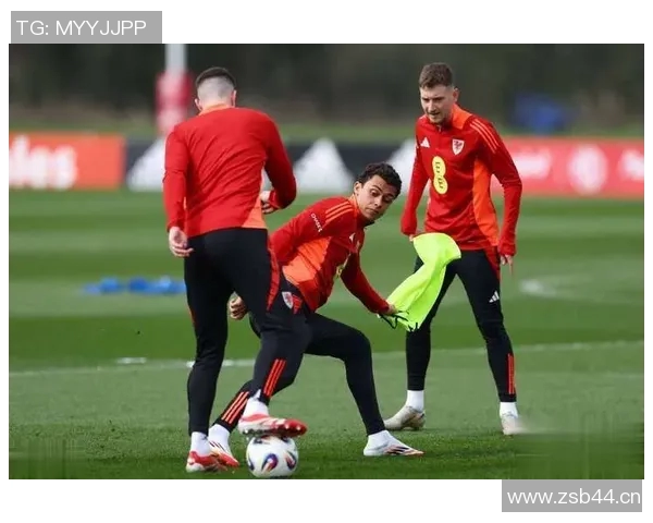 威尔士与比利时精彩对决集锦回顾与分析