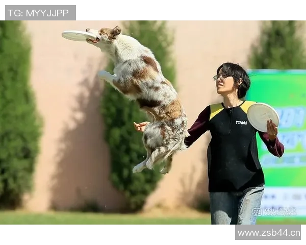 西安飞盘队在极限运动世界杯中的精彩表现与实力分析